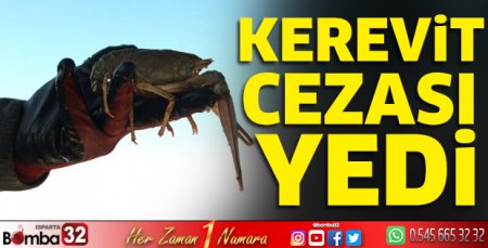Kerevit cezası yedi