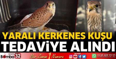 Kerkenes Kuşu tedaviye alındı