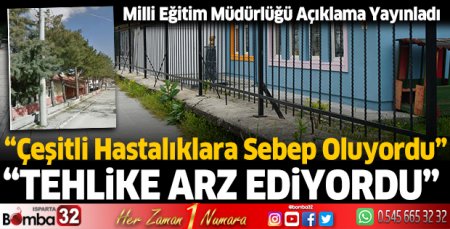 Kesilen ağaçlarla ilgili MEM açıklama yaptı