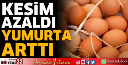 Kesim azaldı yumurta arttı