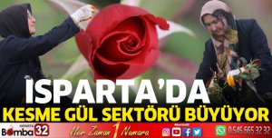Kesme Gül sektörü büyüyor