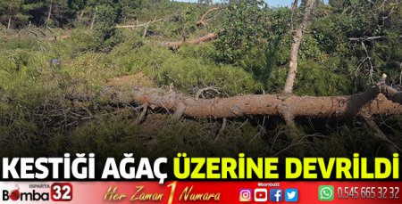 Kestiği ağaç üzerine devrildi 