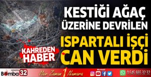 Kestiği ağaç üzerine devrilen Ispartalı işçi hayatını kaybetti