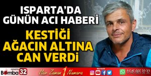 Kestiği ağacın altında can verdi