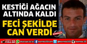 KESTİĞİ AĞACIN ALTINDA KALARAK CAN VERDİ
