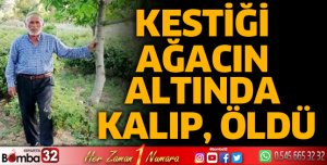 Kestiği ağacın altında kalıp, öldü