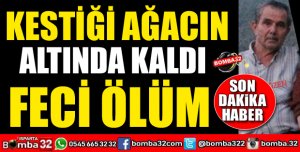 KESTİĞİ AĞACIN ALTINDAN KALARAK CAN VERDİ