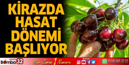 Kiraz hasat dönemi başlıyor