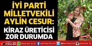 KİRAZ ÜRETİCİSİ ZOR DURUMDA