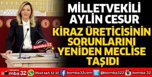 KİRAZ ÜRETİCİSİNİN SORUNLARINI YENİDEN MECLİSE TAŞIDI