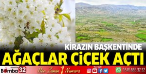 Kirazın başkentinde ağaçlar çiçek açtı 