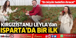 Kırgızistanlı Leyla, devlet desteği ile kesme gül serası kurdu