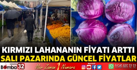 Kırmızı lahananın fiyatı arttı