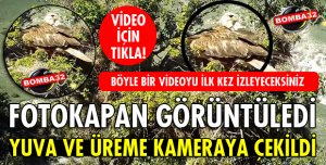 KIZIL ŞAHİNLERİ AN VE AN KAYDETTİ!