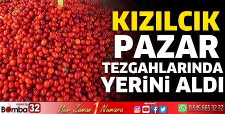 Kızılcık Pazar tezgahlarında yerini aldı 