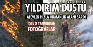 KIZILDAĞ'DA ORMAN YANGINI