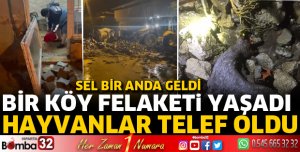 Koçtepe Köyü'nü sel vurdu