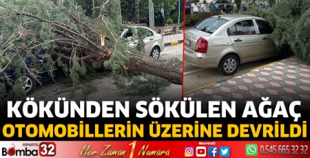 Kökünden sökülen ağaç otomobillerin üzerine devrildi 