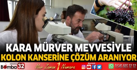 Kolon kanserine çözüm arıyorlar