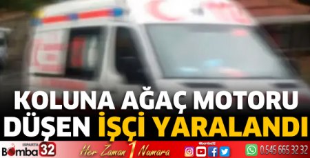 Koluna ağaç motoru düşen işçi yaralandı