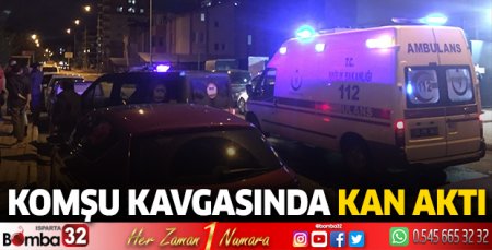 Komşu kavgasında kan aktı