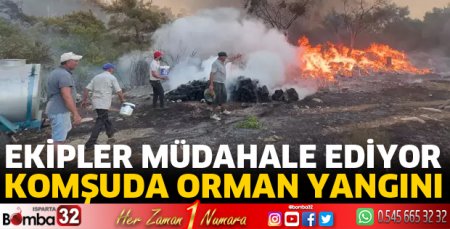 Komşuda orman yangını