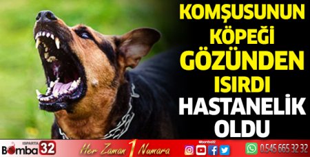 Komşusunun köpeği gözünden ısırdı hastanelik oldu