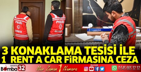 Konaklama tesisi ile araç kiralama firmalarına denetim 