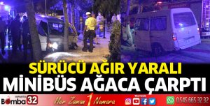 Kontrolden çıkan minibüs ağaca çarptı