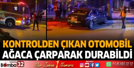 Kontrolden çıkan otomobil ağaca çarparak durabildi