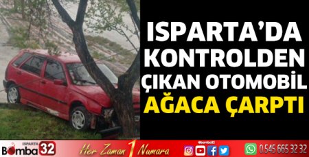 Kontrolden çıkan otomobil ağaca çarptı