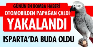KONUŞAN PAPAĞANI ÇALDI