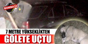 KÖPEĞE ÇARPAN ARAÇ GÖLE UÇTU