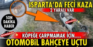 KÖPEĞE ÇARPMAMAK İÇİN BAHÇEYE UÇTU