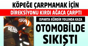 KÖPEĞE ÇARPMAMAK İÇİN DİREKSİYONU KIRDI  AĞACA ÇARPTI