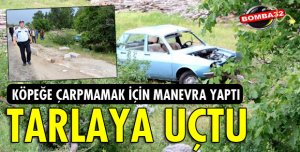 KÖPEĞE ÇARPMAMAK İÇİN MANEVRA YAPINCA TARLAYA UÇTU