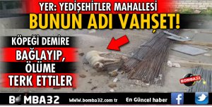 KÖPEĞİ BÖYLE BIRAKTILAR