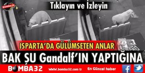 KÖPEĞİN KİTABI AĞZIYLA GÖTÜRME ANI KAMERADA