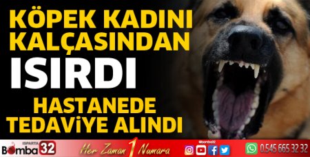 Köpek kadını ısırdı