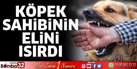 Köpek sahibinin elini ısırdı