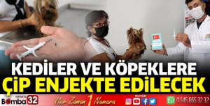 Köpekler 2021, kediler 2022 sonuna kadar çiplenecek
