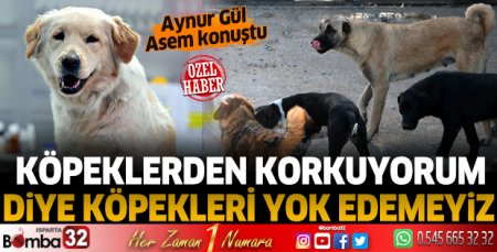 Köpeklerden korkuyorum diye köpekleri yok edemeyiz