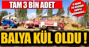 KORKUTAN YANGIN !