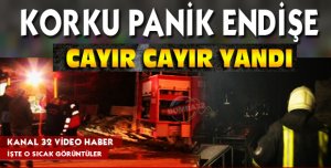Korkutan yangın