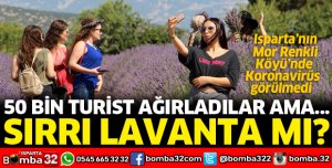 KORONAVİRÜS MOR RENKLİ KÖYDE GÖRÜLMEDİ