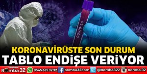 Koronavirüste son durum