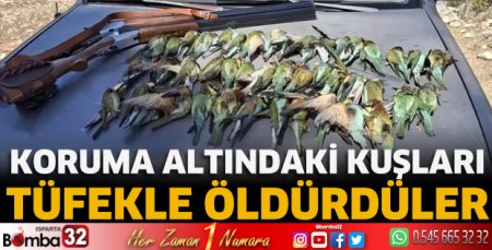 Koruma altındaki kuşları tüfekle öldürdüler