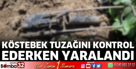 Köstebek tuzağını kontrol ederken yaralandı