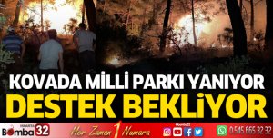 Kovada Milli Parkı Yanıyor