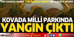 Kovada Milli Parkında yangın çıktı!